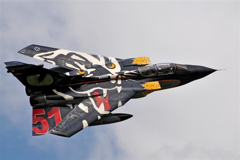 Wings Panther badge on the upside.JPG